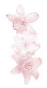 Ảnh hồ sơ của ☆*: .。.emilyy .。.:*☆