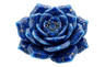 Profile picture of Lumiora