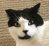 Profile picture of June