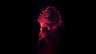 Profile picture of asti