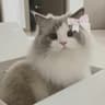 Profile picture of 中の