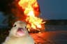Ảnh hồ sơ của ByMegan